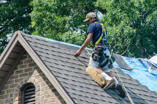 Best New Roof Installation  in Quinebaug, CT